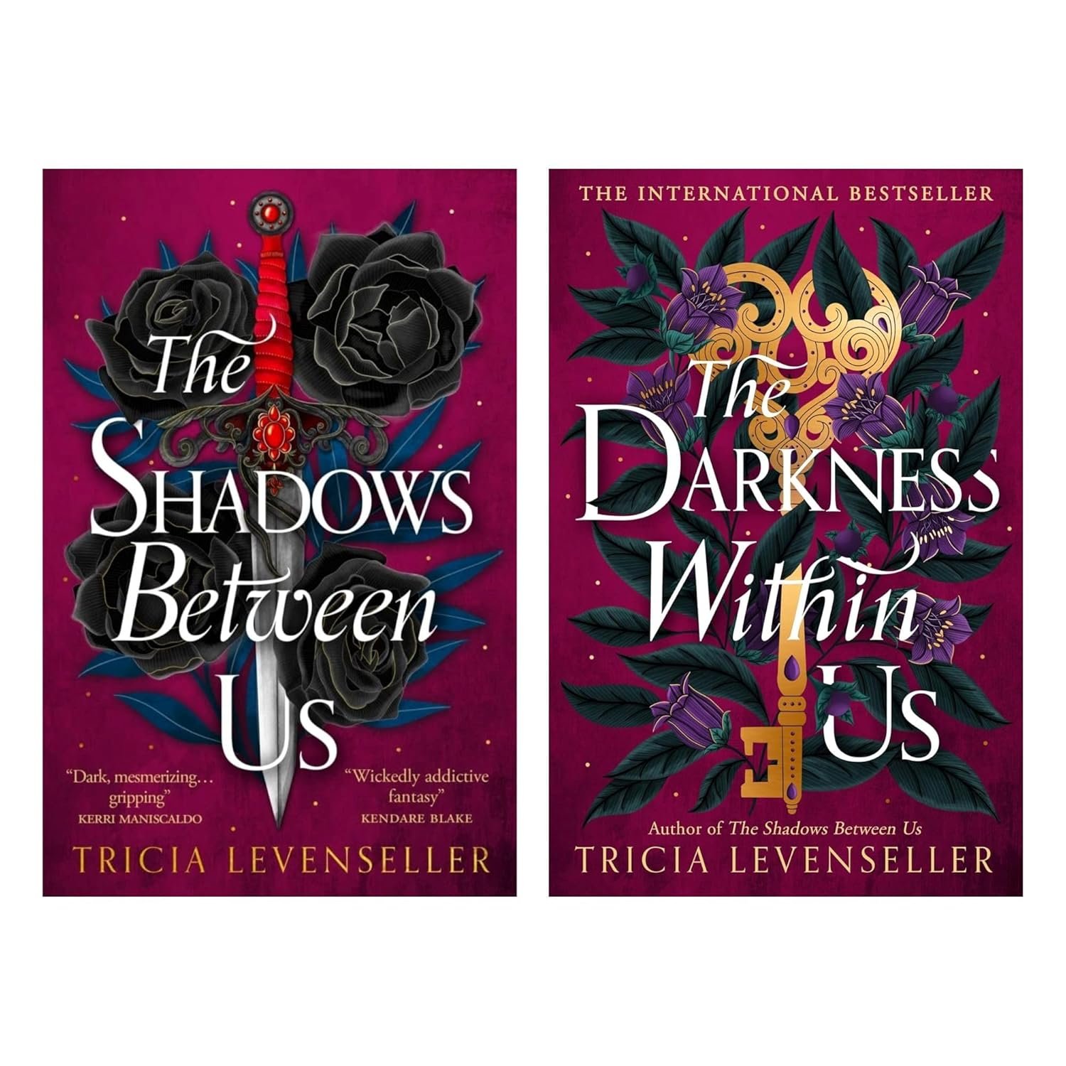 Shadows Between Us & Darkness Within Us: 2 Book Collection Set A Dark Fantasy Romance Duology by Tricia Levenseller